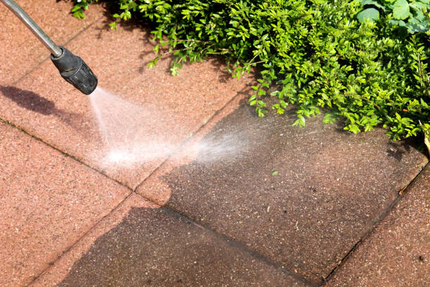 Best Pressure Washing Near Me  in Dix Hills, NY